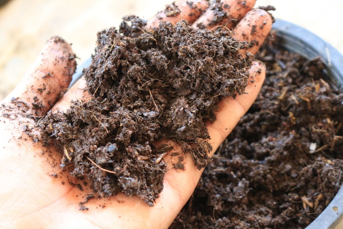 Techniques for Treating Wet Soil - ভেজা মাটি ঠিক করার টেকনিকস