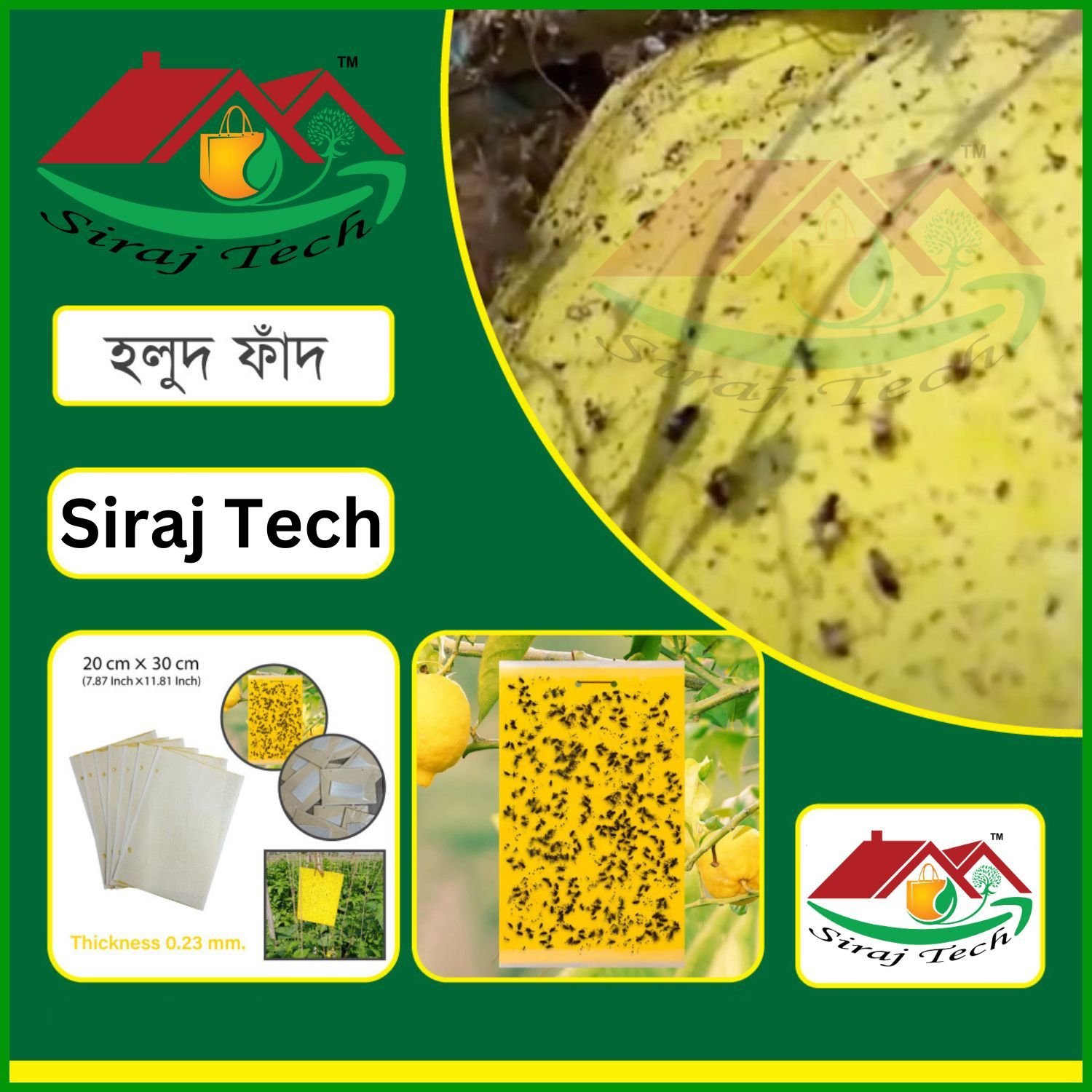 Yellow Sticky Trap | পোকা দমনে হলুদ ফাঁদ