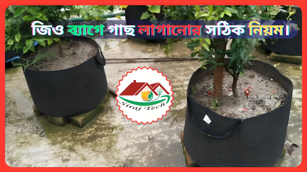 Siraj Tech New Geo Bag - নতুন জিও ব্যাগে কি কি পরিবর্তন এনেছে