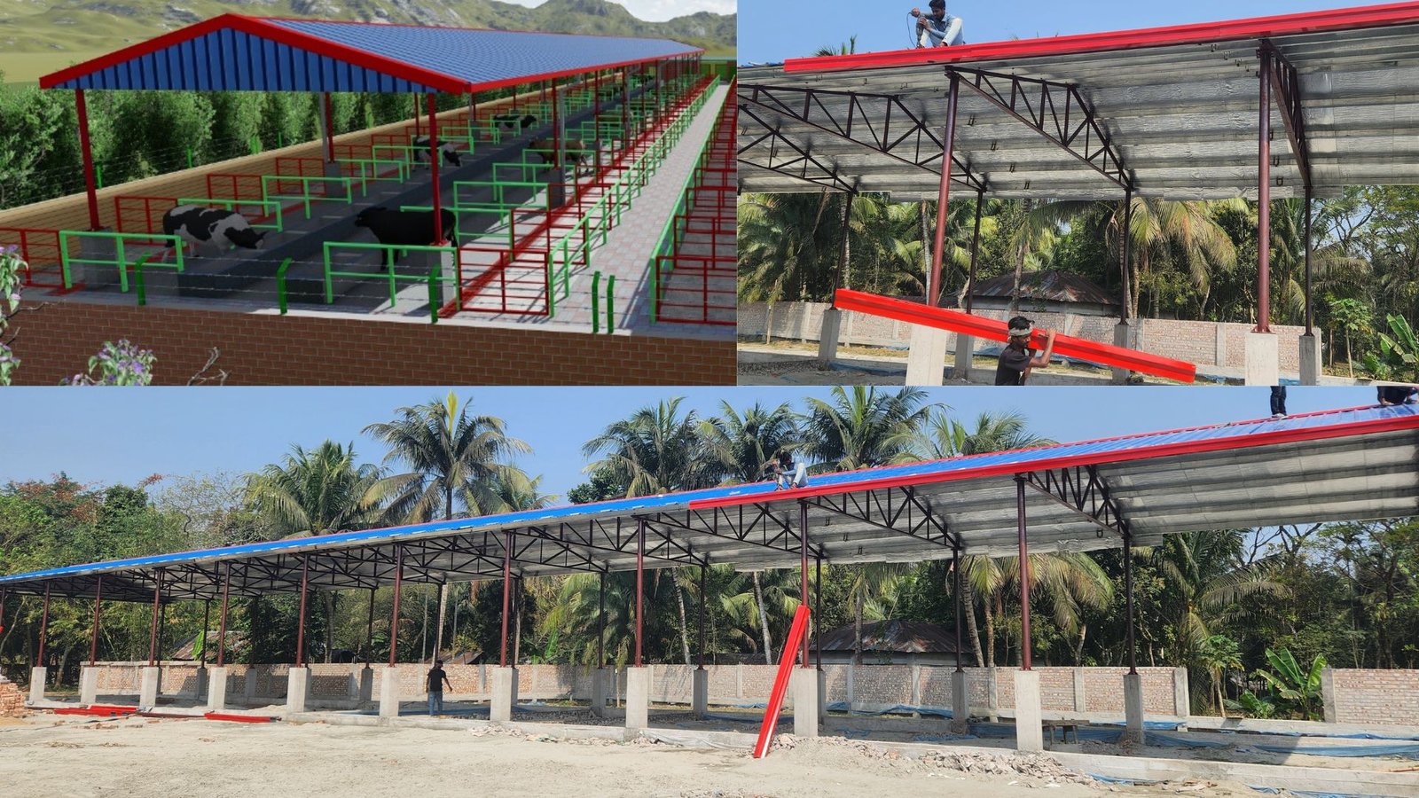 Large Dairy Farm Design - Cattle Sheds Plan - বড় দুগ্ধ খামার ডিজাইন - গবাদি পশুর শেড পরিকল্পনা 2