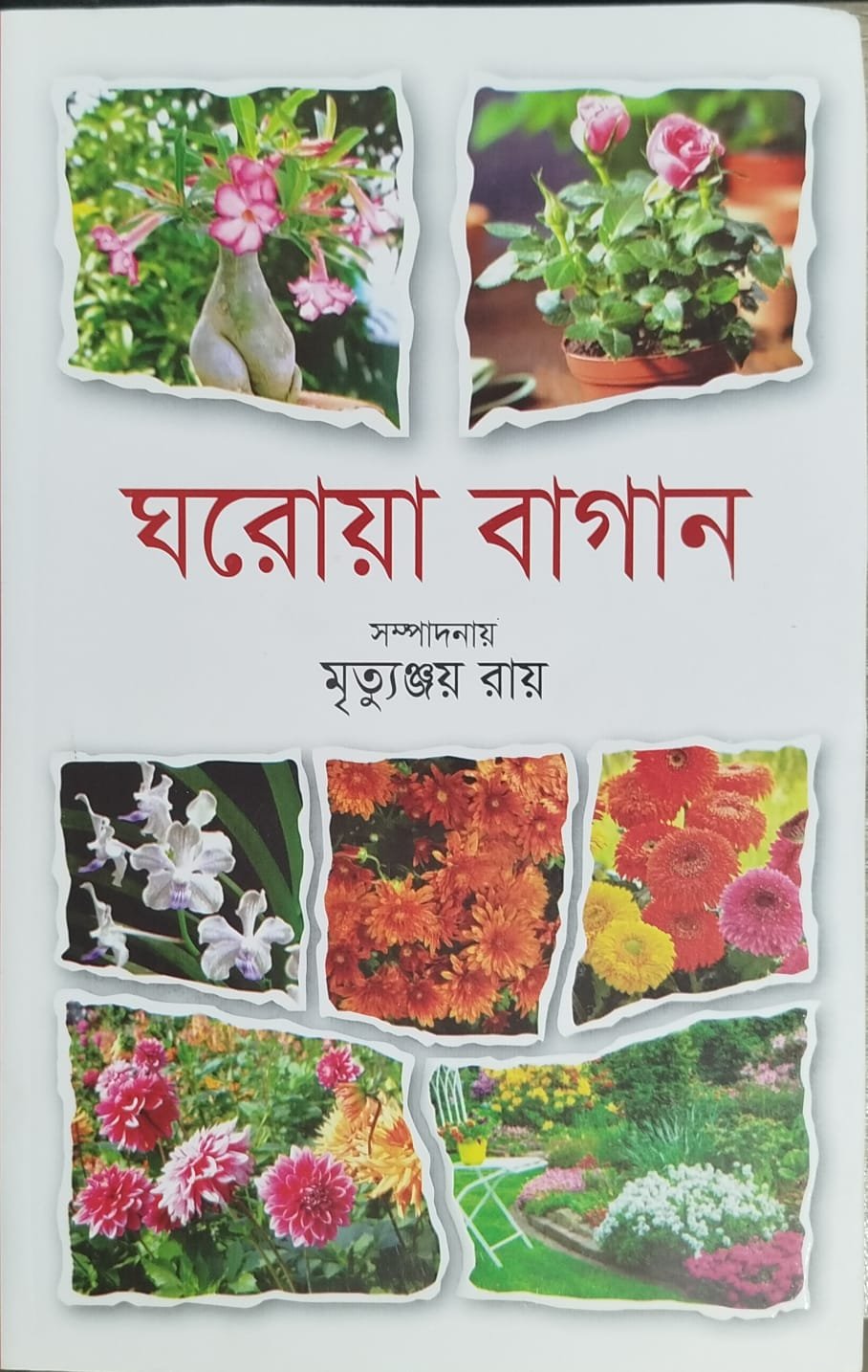 Home Garden (Mrityunjay Roy) - ঘরোয়া বাগান (মৃত্যুঞ্জয় রায়)