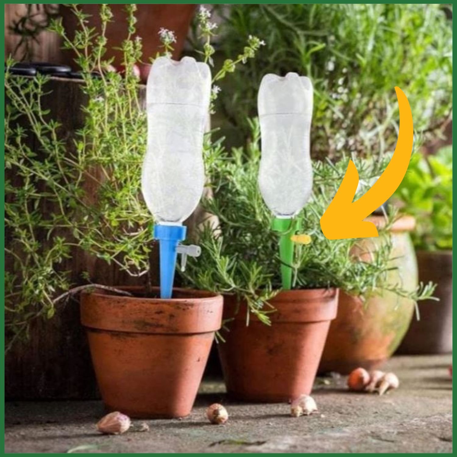 Auto Drip Irrigation System for Plant Pots – অটো ওয়াটারিং স্পাইক 3