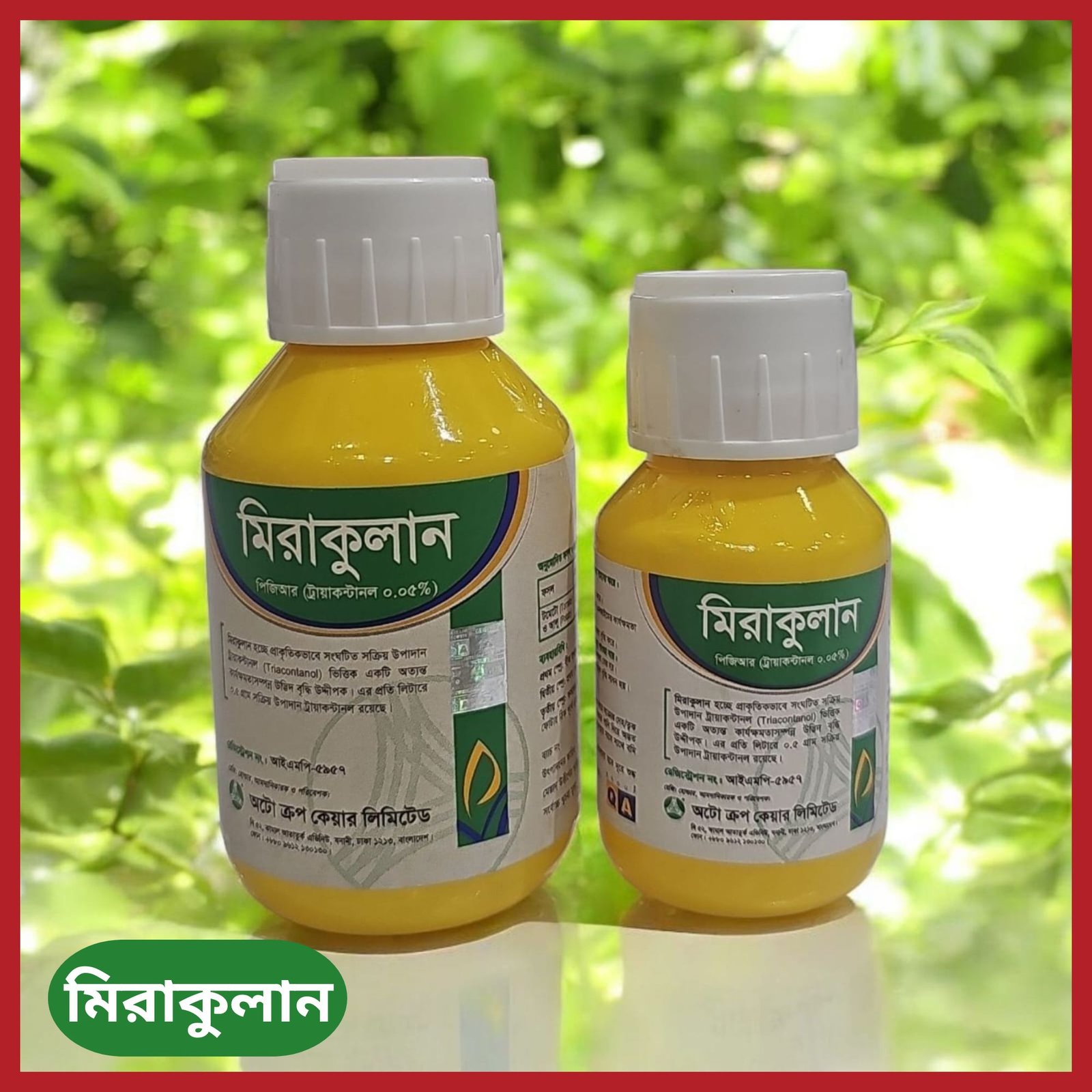 Miraculan | Triacontanol ভিত্তিক উদ্ভিদ বৃদ্ধি উদ্দীপক