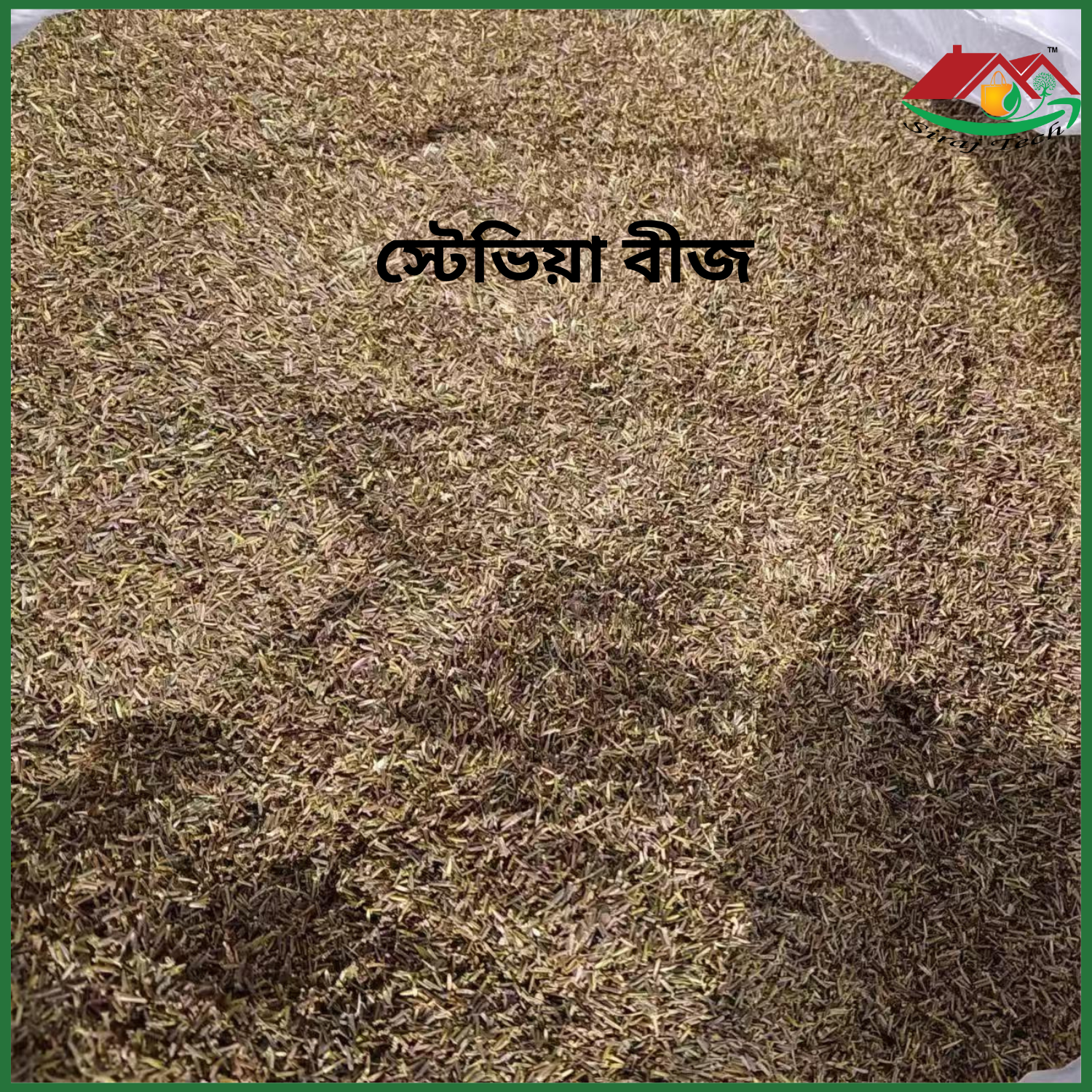 Stevia Seeds Price in Bangladesh | স্টেভিয়া বীজ চাষ ও উপকারিতা 2