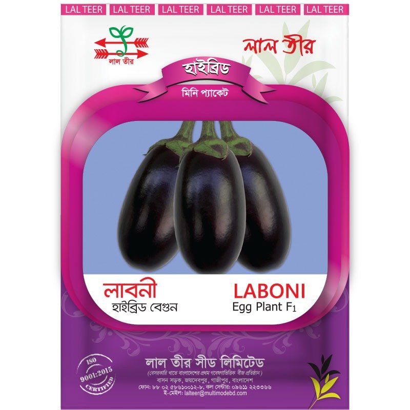 Egg Plant Seeds | বেগুনের বীজ 3