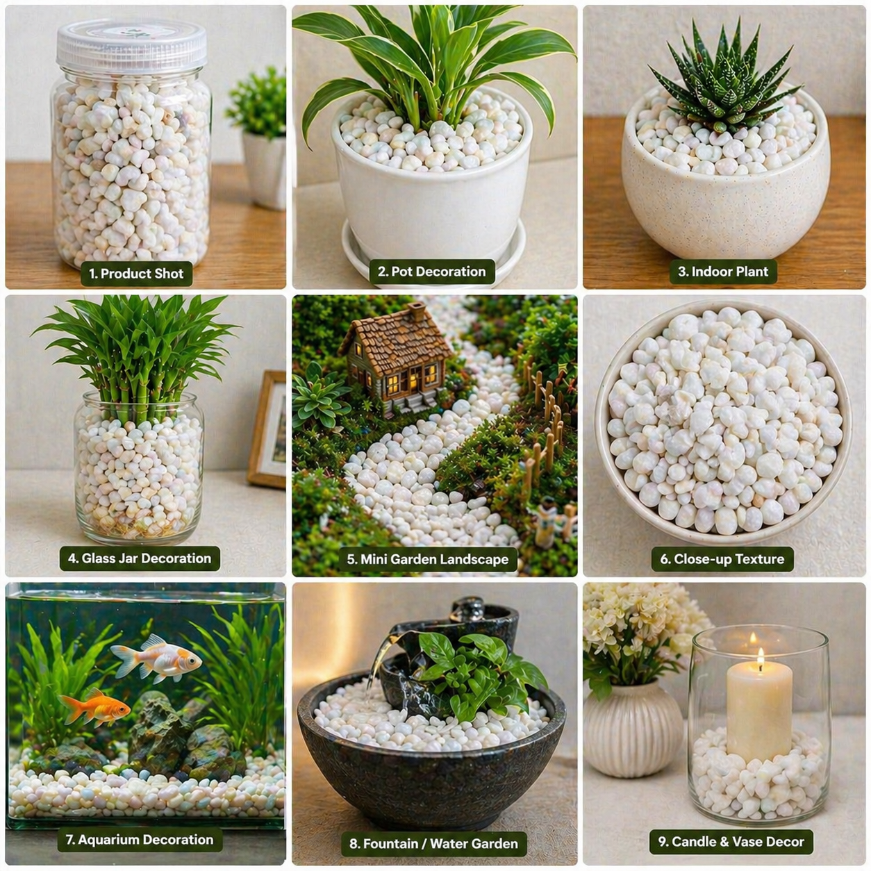 White Stone Price in Bangladesh | White Pebbles for Pot & Garden 2