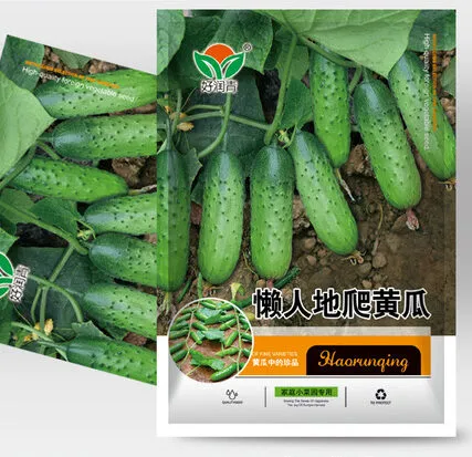 Cucumber Seeds- বিদেশি জাতের শসার বীজ