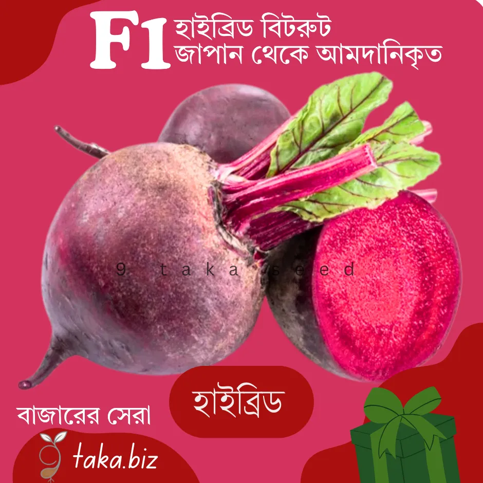 Hybrid Beetroot Seeds- হাইব্রিড বিটরুটের বীজ