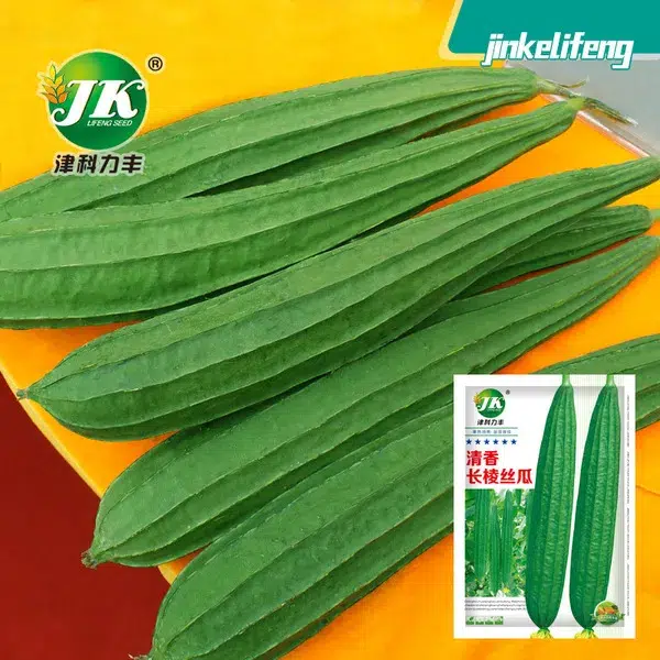 Ridge Gourd- বিদেশি ঝিঙ্গার বীজ
