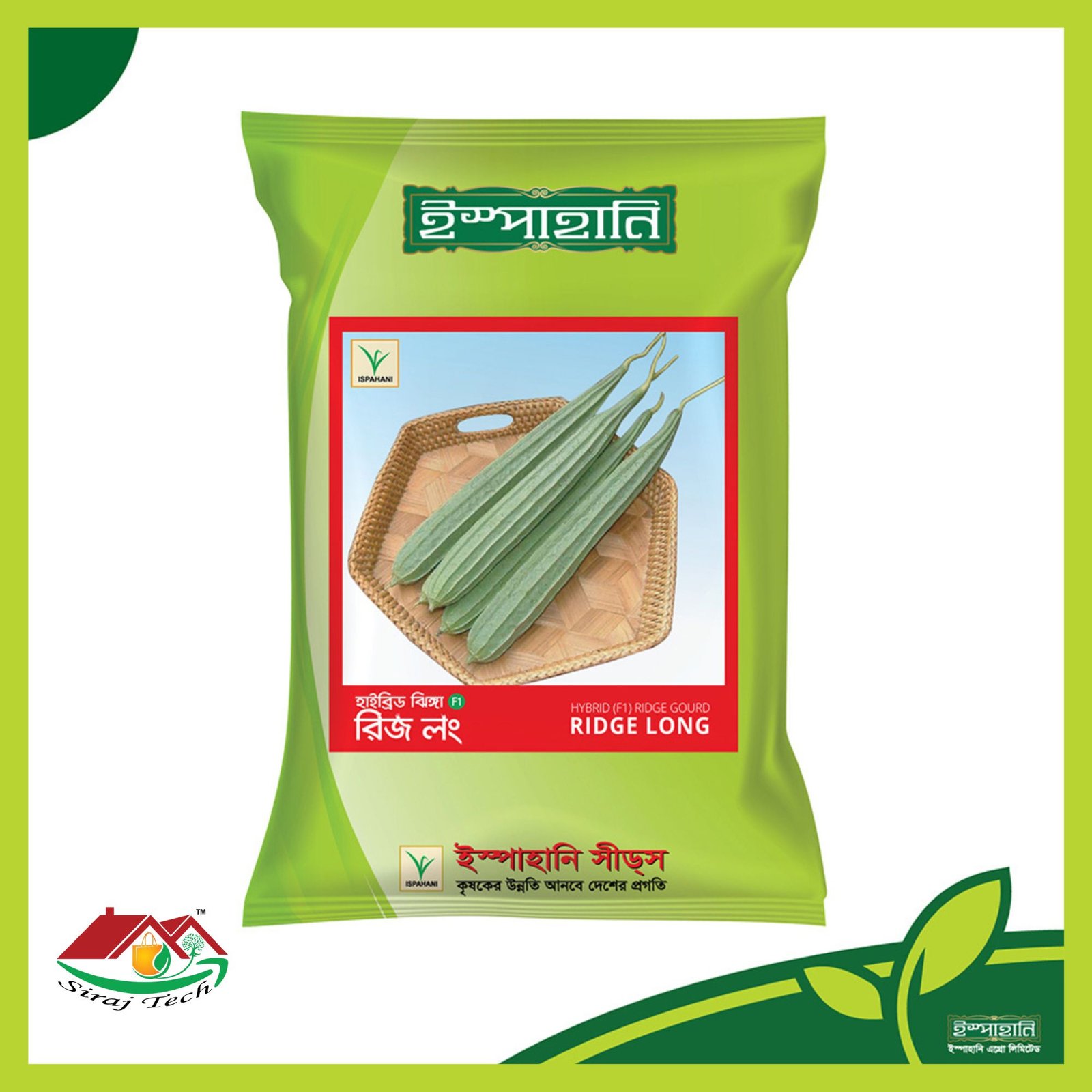 Ridge Long Ridge Gourd - Hybrid F1 - রিজ লং হাইব্রিড ঝিঙ্গা