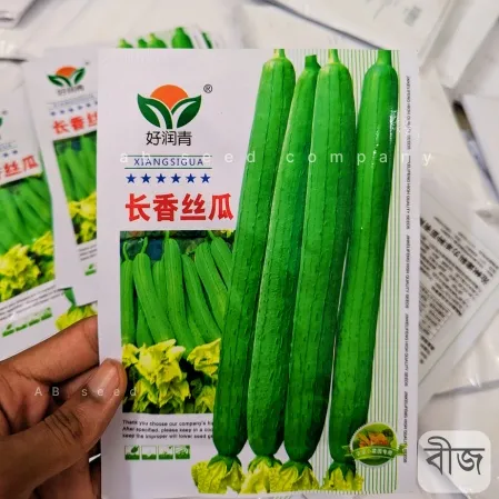 Sponge Gourd- বিদেশি ধুন্দলের বীজ