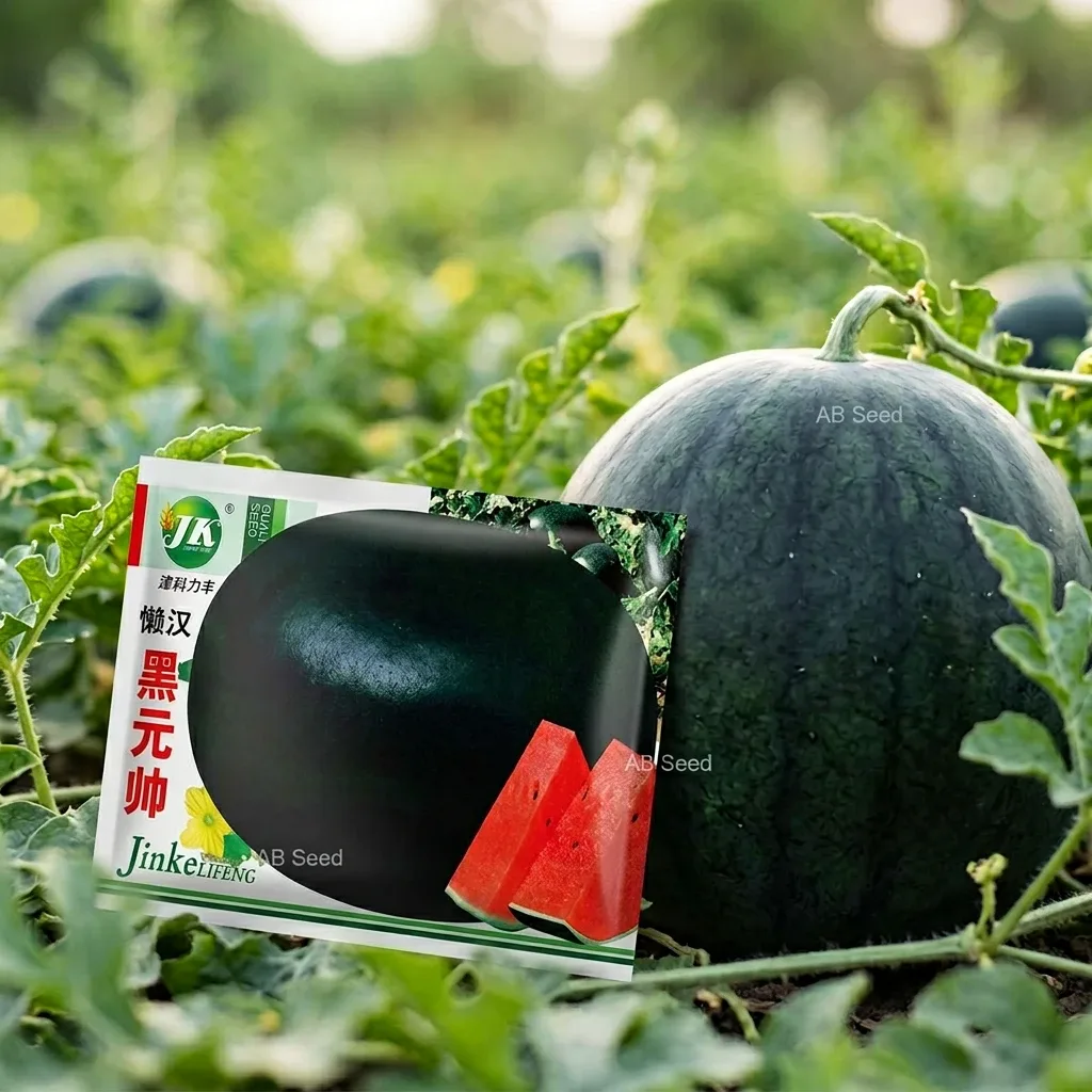Watermelon seeds (Black 01) - তরমুজ (ব্লাক ০১)